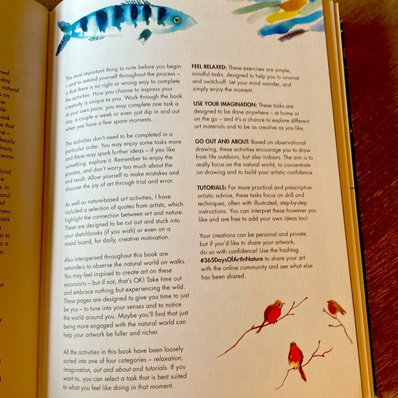 New - 365 Days of Art in Nature Book - Picture 3 of 5